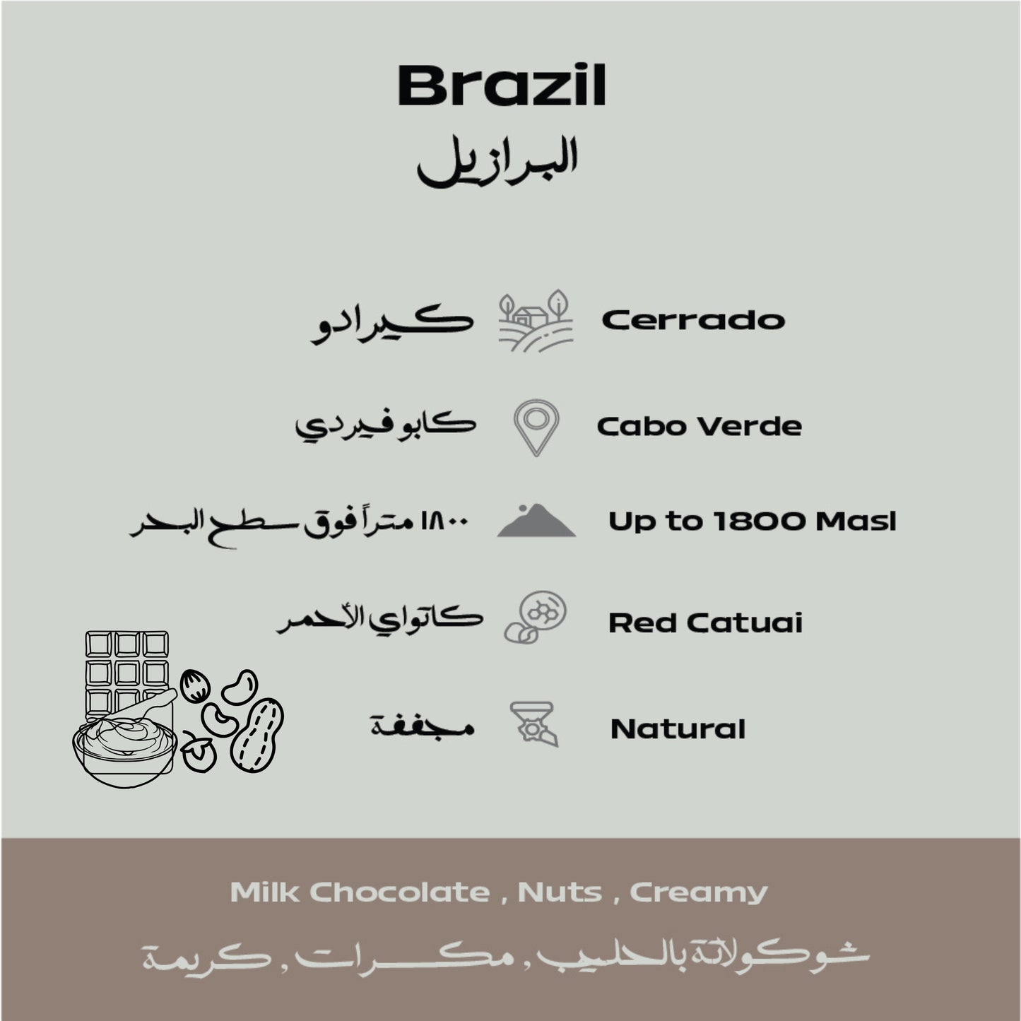 Brazil – Cerrado Filter