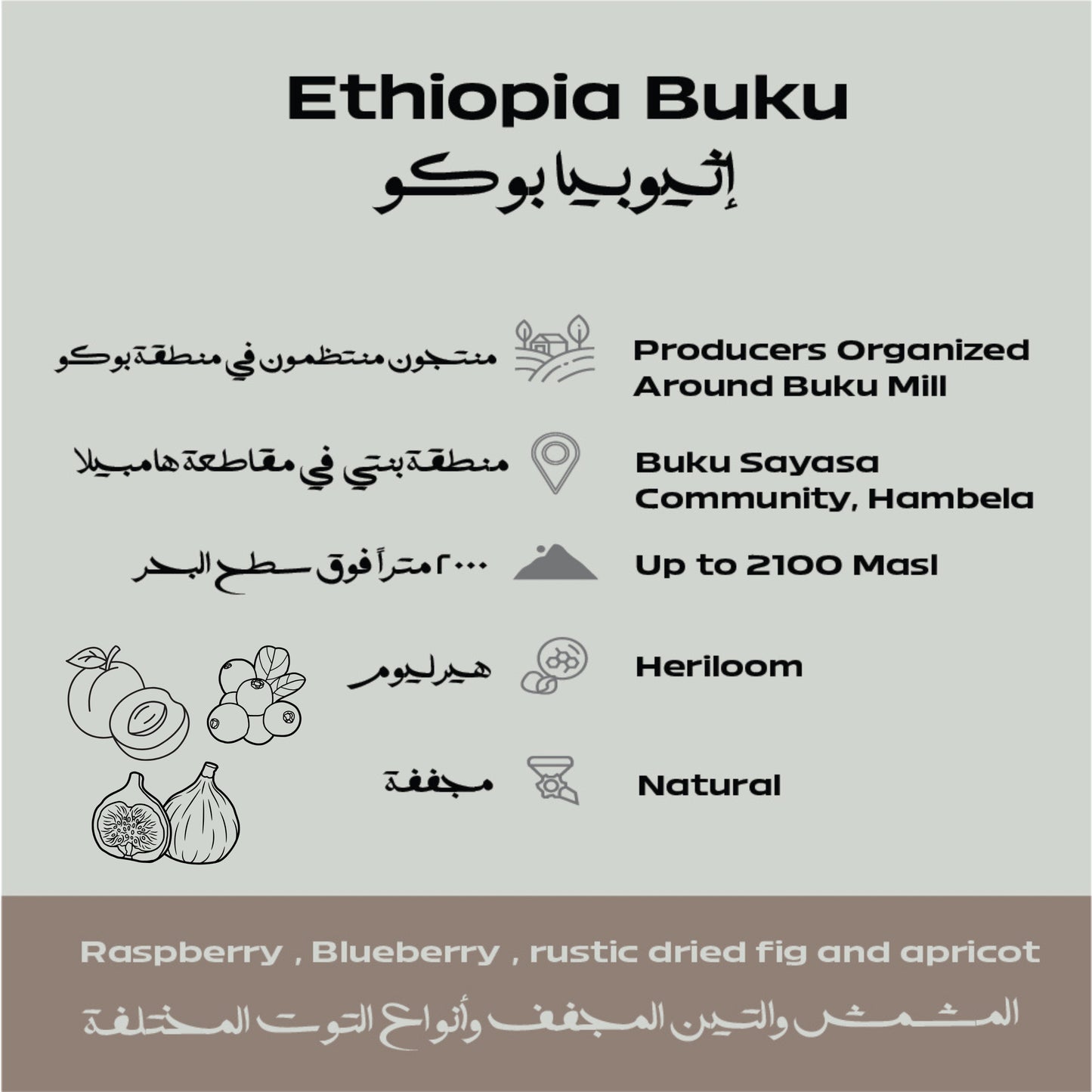 Ethiopia – Buku Beans