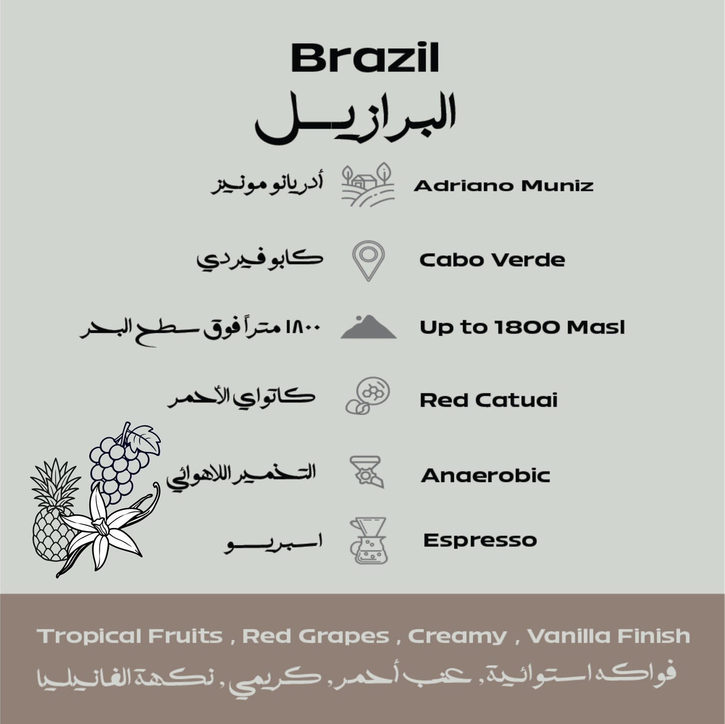 Brazil – Muniz Espresso