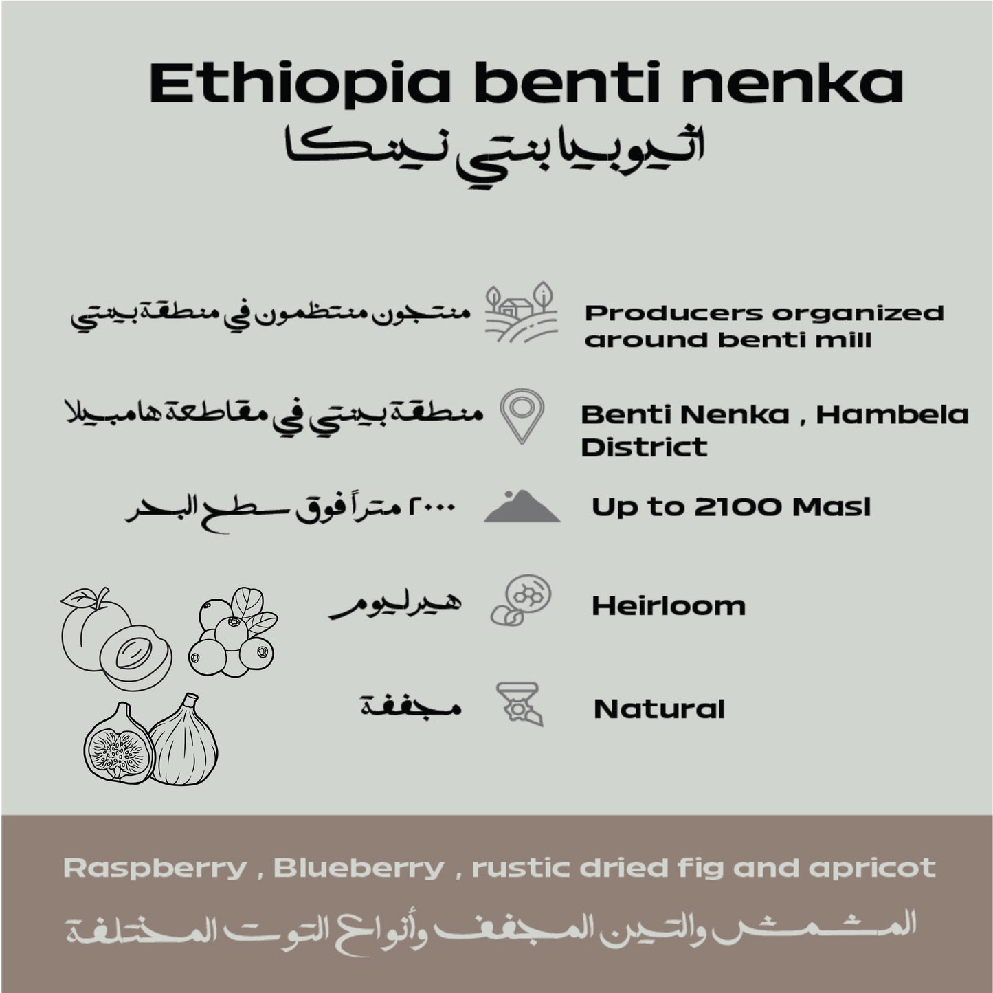 Ethiopia – Benti Nenka Beans