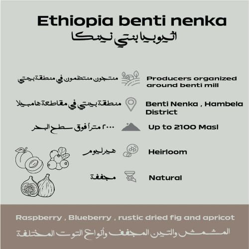 إثيوبيا – بنتي نينكا حبوب قهوة