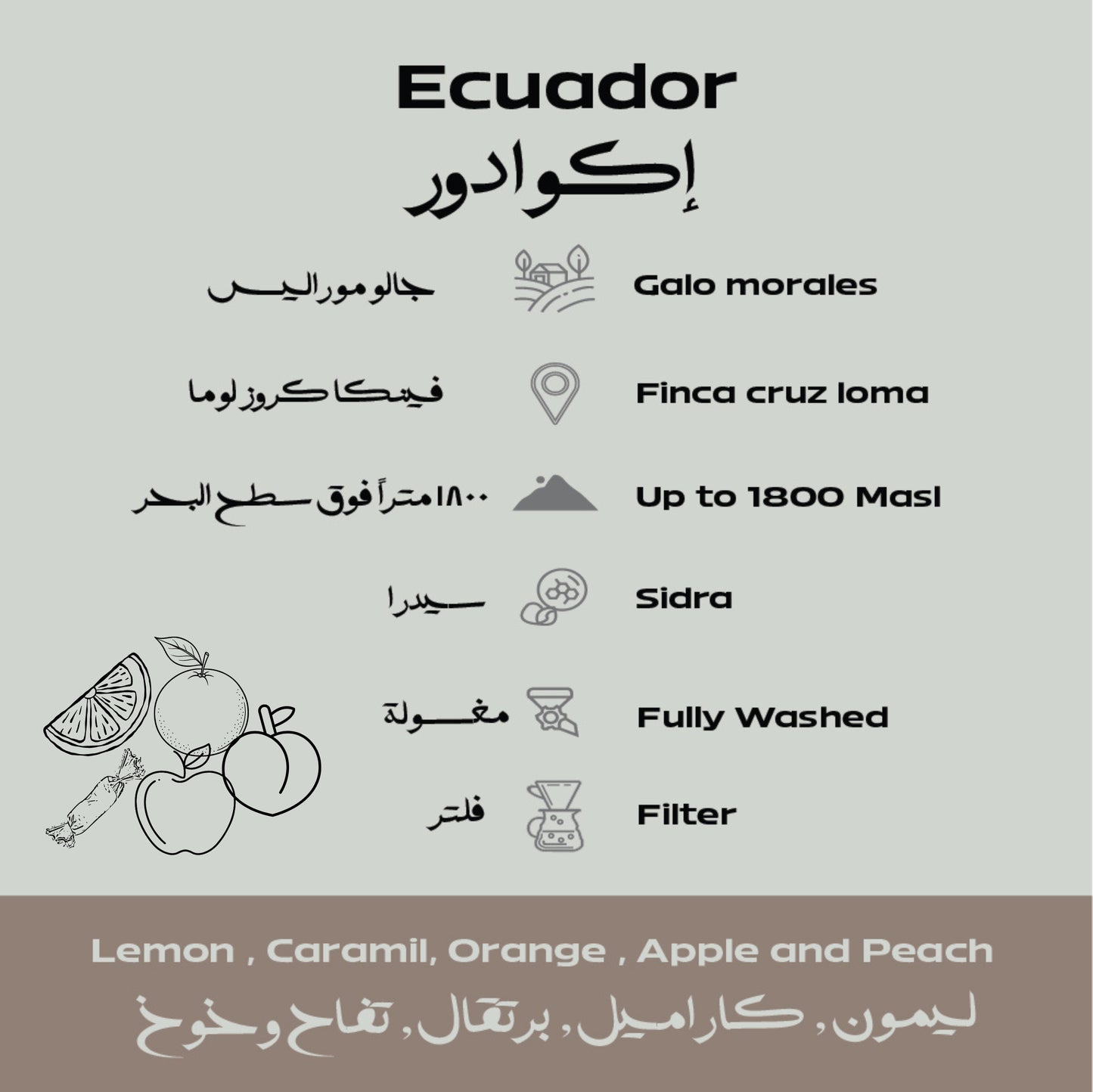 Ecuador –Galo Morales Beans