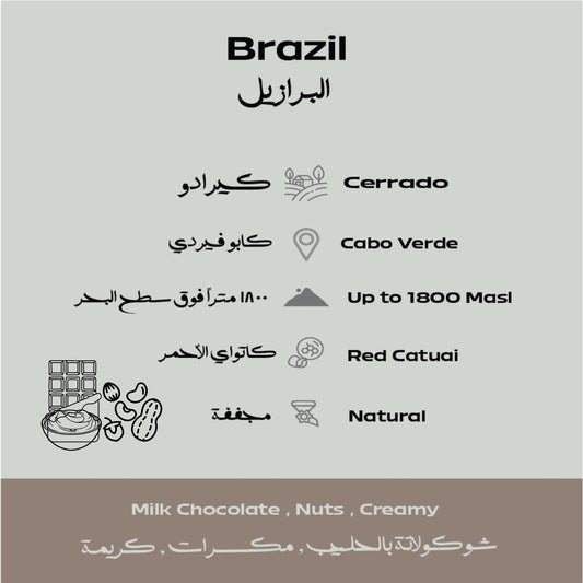 Brazil – Cerrado Filter
