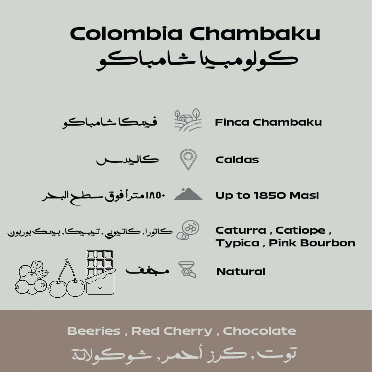 Colombia – Chambaku Filter