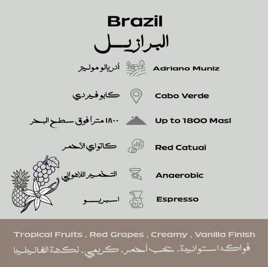 Brazil – Muniz Beans