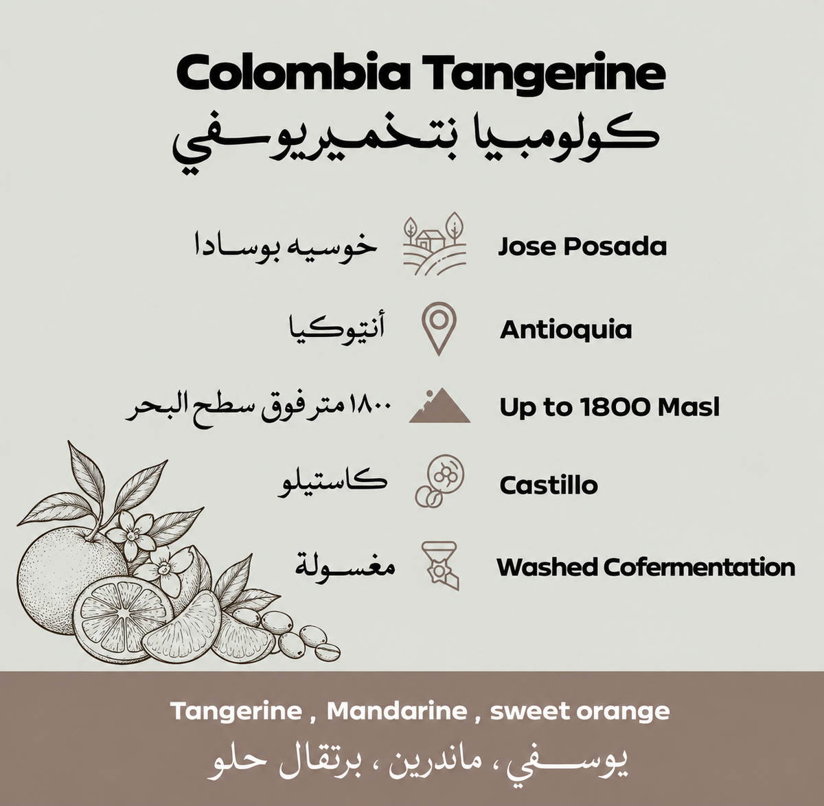 Colombia Tangerine