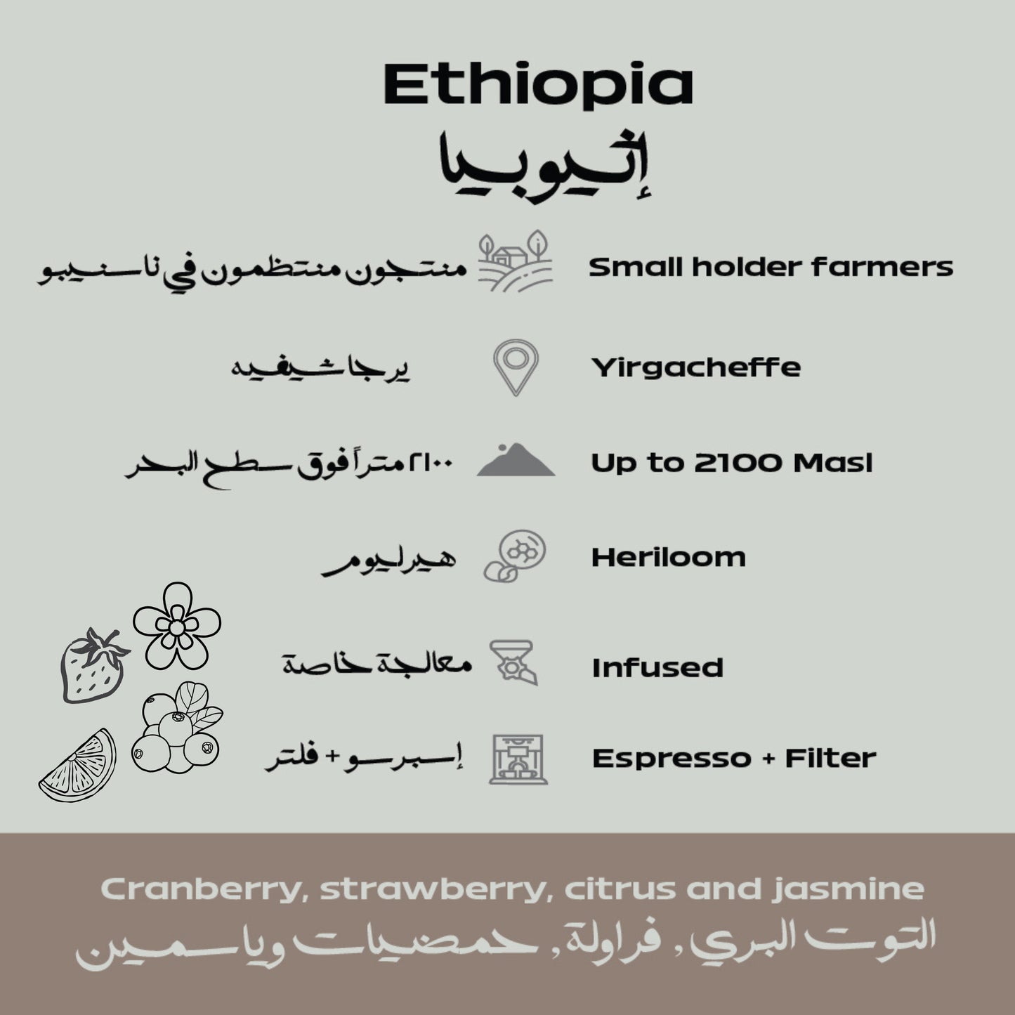 Ethiopia – Yirgacheffe Beans