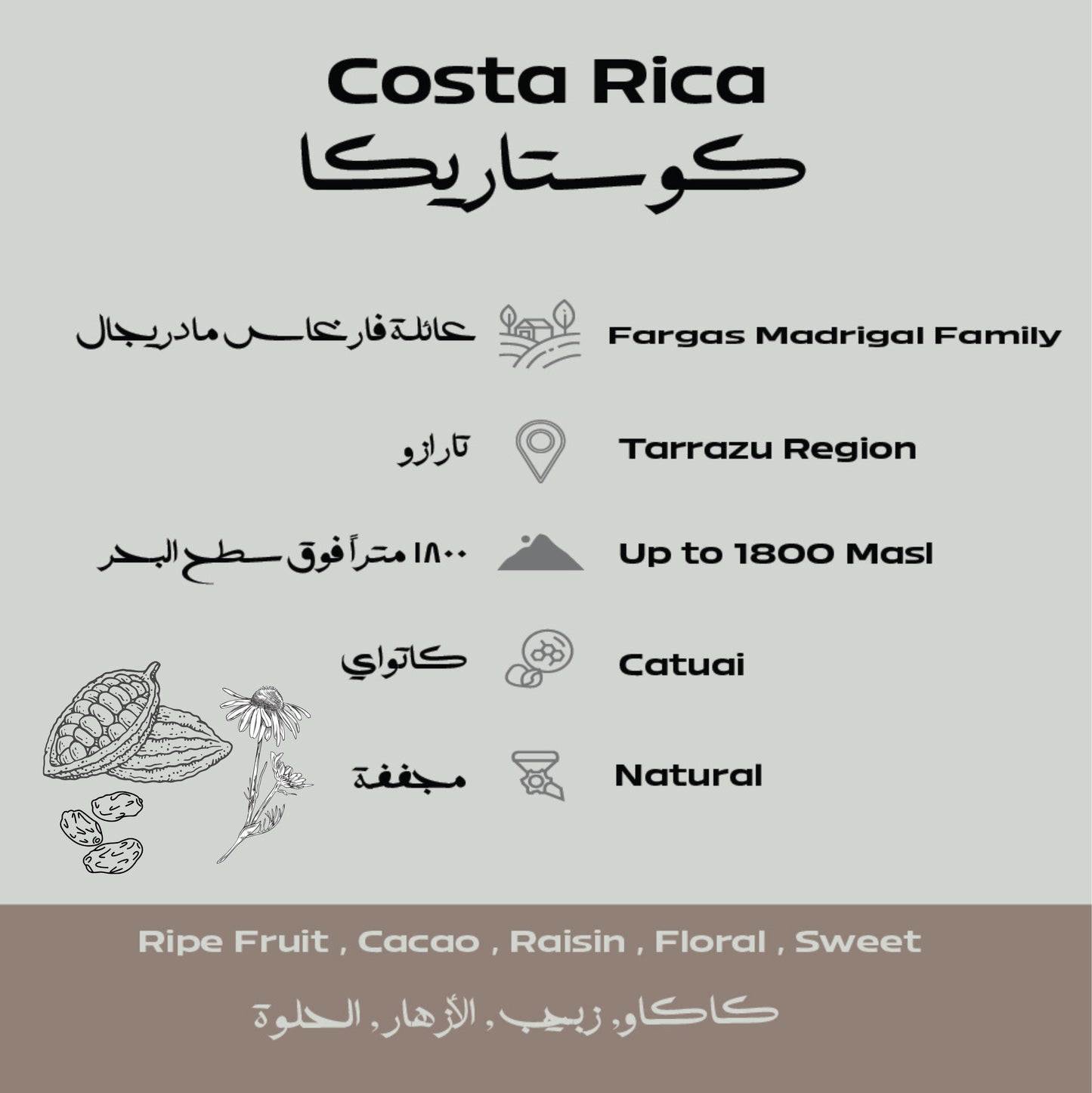 Costa Rica – Fargas Madrigal Beans