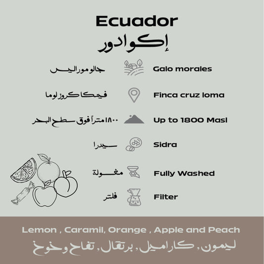 Ecuador –Galo Morales Beans